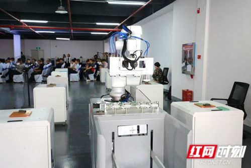 深读丨求解先进制造业产业体系，湖南自动化科技的四大关键之问